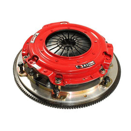 Magnes de darturien de milance an deros  laciniados